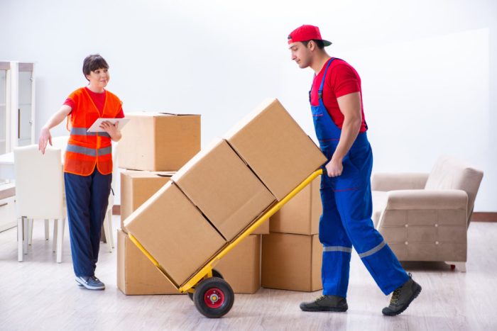 Moving companies that move cars and furniture